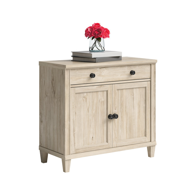 Shelby 2 door store accent cabinet